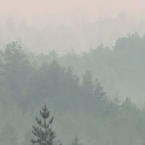 Meet your Posher, Mason